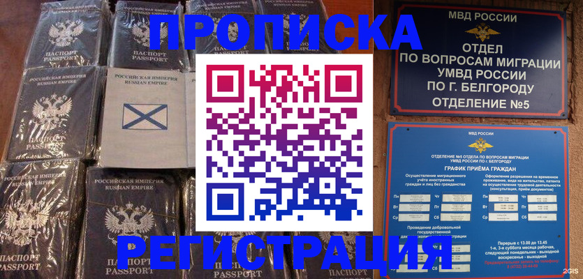 прописка гарантия в Щиграх
